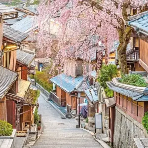 Explore Highlights of Japan (incl. flight) for 11 days with DERTOUR and discover unforgettable experiences - Photo 10