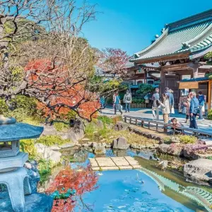 Explore Highlights of Japan (incl. flight) for 11 days with DERTOUR and discover unforgettable experiences - Photo 11