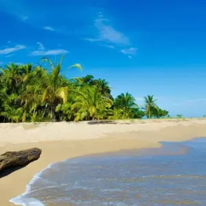 Explore Samara Beach, Short Break for 3 days with Destination Services Costa Rica and discover unforgettable experiences - Photo 3