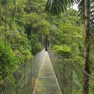 Explore Essential Costa Rica with extension to Guanacaste, Tamarindo Beach & San José City for 13 days with Destination Services Costa Rica and discover unforgettable experiences - Photo 7