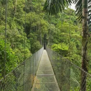 Explore Costa Rica Natural Paradise for 8 days with Destination Services Costa Rica and discover unforgettable experiences - Photo 3