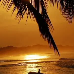 Explore Surf Costa Rica (On Request) for 10 days with Destination Services Costa Rica and discover unforgettable experiences - Photo 8