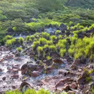 Explore Mystic Waterfalls & Forests Of Costa Rica for 8 days with Destination Services Costa Rica and discover unforgettable experiences - Photo 3