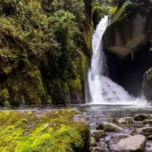 Explore Wild Jungles and Secret Mountains of Costa Rica (On Request) for 9 days with Destination Services Costa Rica and discover unforgettable experiences - Photo 2