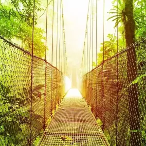 Explore Arenal and Monteverde, Short Break for 4 days with Destination Services Costa Rica and discover unforgettable experiences - Photo 2