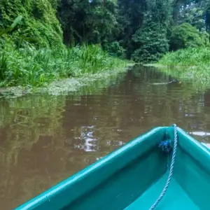 Explore Supersaver | Costa Rica Essentials Plus, 8 days for 8 days with Destination Services Costa Rica and discover unforgettable experiences - Photo 3