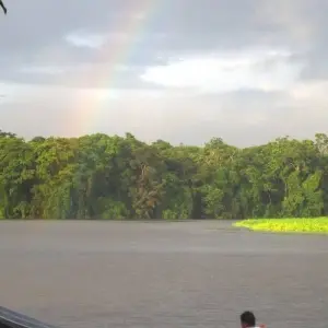 Explore Tortuguero Jungle Expedition, Short Break (On Request) for 3 days with Destination Services Costa Rica and discover unforgettable experiences - Photo 4