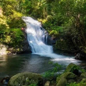 Explore Mystic Waterfalls & Forests Of Costa Rica for 8 days with Destination Services Costa Rica and discover unforgettable experiences - Photo 4