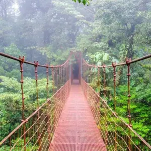 Explore Monteverde Cloudforest Essences, Short Break for 3 days with Destination Services Costa Rica and discover unforgettable experiences - Photo 2