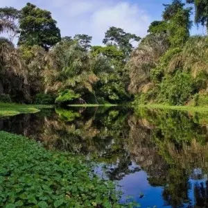 Explore Sarapiqui with White River Rafting, Short Break for 3 days with Destination Services Costa Rica and discover unforgettable experiences - Photo 6