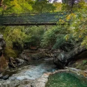 Explore Mystic Waterfalls & Forests Of Costa Rica for 8 days with Destination Services Costa Rica and discover unforgettable experiences - Photo 5