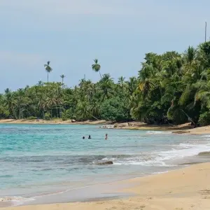 Explore Puerto Viejo Beach, Short Break for 3 days with Destination Services Costa Rica and discover unforgettable experiences - Photo 7
