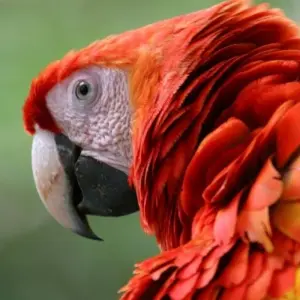 Explore Romantic Adventure in Costa Rica, Self-Drive (On Request) for 8 days with Destination Services Costa Rica and discover unforgettable experiences - Photo 8