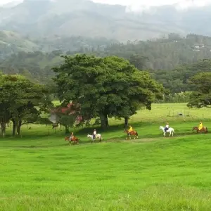 Explore Multisport Through Volcanoes & Rivers (On Request) for 8 days with Destination Services Costa Rica and discover unforgettable experiences - Photo 5