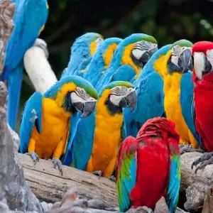 Explore Supersaver | Costa Rica Essentials Plus, 8 days for 8 days with Destination Services Costa Rica and discover unforgettable experiences - Photo 5