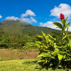 Explore Wild Jungles and Secret Mountains of Costa Rica (On Request) for 9 days with Destination Services Costa Rica and discover unforgettable experiences - Photo 4