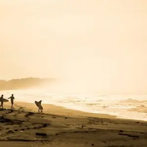 Explore Surf Costa Rica (On Request) for 10 days with Destination Services Costa Rica and discover unforgettable experiences - Photo 11
