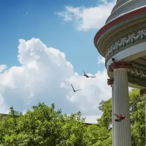 Explore Wild Jungles and Secret Mountains of Costa Rica (On Request) for 9 days with Destination Services Costa Rica and discover unforgettable experiences - Photo 5