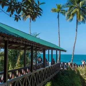 Explore Wild Jungles and Secret Mountains of Costa Rica (On Request) for 9 days with Destination Services Costa Rica and discover unforgettable experiences - Photo 6