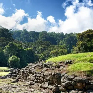 Explore Wild Jungles and Secret Mountains of Costa Rica (On Request) for 9 days with Destination Services Costa Rica and discover unforgettable experiences - Photo 7