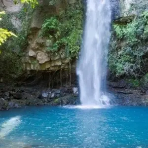 Explore Mystic Waterfalls & Forests Of Costa Rica for 8 days with Destination Services Costa Rica and discover unforgettable experiences - Photo 9