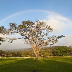 Explore Mystic Waterfalls & Forests Of Costa Rica for 8 days with Destination Services Costa Rica and discover unforgettable experiences - Photo 11