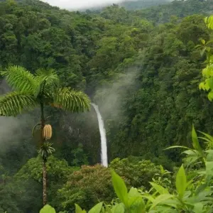 Explore Arenal Volcano Getaway, Short Break for 3 days with Destination Services Costa Rica and discover unforgettable experiences - Photo 3