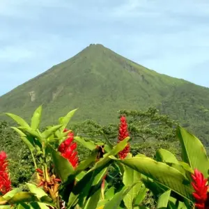 Explore Costa Rica & Manuel Antonio 7 Days, Self-Drive for 7 days with Destination Services Costa Rica and discover unforgettable experiences - Photo 4