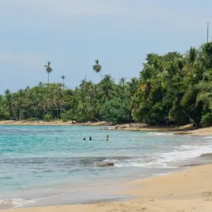 Explore Volcanoes, Nature and Caribbean, Self-drive for 9 days with Destination Services Costa Rica and discover unforgettable experiences - Photo 7