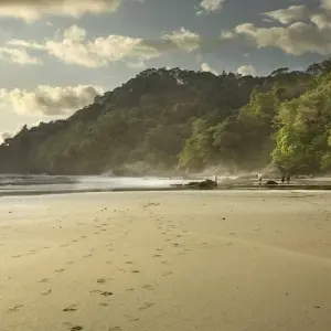 Explore Manuel Antonio Beach & San José City, Short Break for 4 days with Destination Services Costa Rica and discover unforgettable experiences - Photo 7