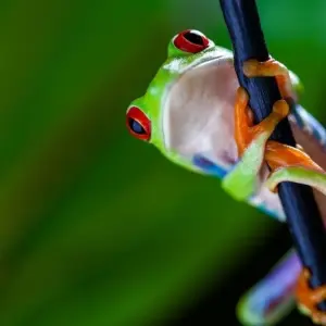 Explore Arenal Volcano Getaway, Short Break for 3 days with Destination Services Costa Rica and discover unforgettable experiences - Photo 7