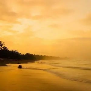 Explore Fun in the Sun at Tamarindo Beach, Short Break for 3 days with Destination Services Costa Rica and discover unforgettable experiences - Photo 8