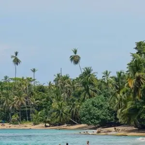 Explore Volcanoes, Nature and Caribbean, Self-drive for 9 days with Destination Services Costa Rica and discover unforgettable experiences - Photo 11