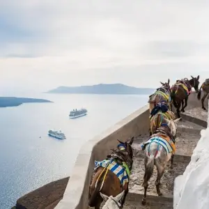 Explore Island Hopping: Athens, Santorini for 5 days with Destination Services Greece and discover unforgettable experiences - Photo 5