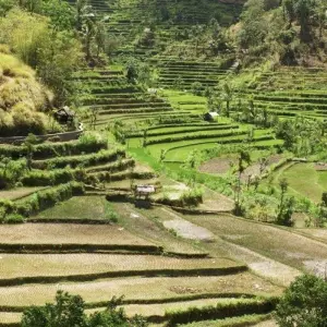 Explore The Best of Three Islands, Private Tour for 12 days with Destination Services Indonesia and discover unforgettable experiences - Photo 2