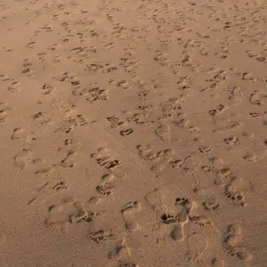 Explore Romance of Bali, Private Tour for 10 days with Destination Services Indonesia and discover unforgettable experiences - Photo 2