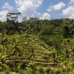 Explore Bali Soft Adventure, Private Tour for 10 days with Destination Services Indonesia and discover unforgettable experiences - Photo 5