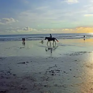 Explore Simply Bali, Private Tour for 8 days with Destination Services Indonesia and discover unforgettable experiences - Photo 3