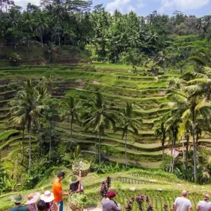 Explore Temples, Volcanoes and Beaches; Private Tour for 11 days with Destination Services Indonesia and discover unforgettable experiences - Photo 6