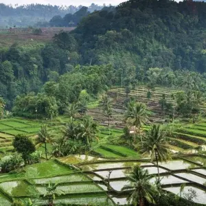 Explore Explore Lombok, Private Tour for 5 days with Destination Services Indonesia and discover unforgettable experiences - Photo 5