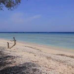 Explore Chanting of Paradise, Private Tour for 12 days with Destination Services Indonesia and discover unforgettable experiences - Photo 4