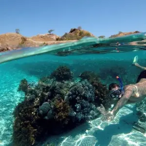 Explore Bali Soft Adventure, Private Tour for 10 days with Destination Services Indonesia and discover unforgettable experiences - Photo 6