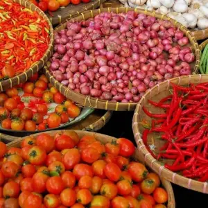 Explore Chanting of Paradise, Private Tour for 12 days with Destination Services Indonesia and discover unforgettable experiences - Photo 5