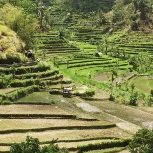 Explore Pure of Bali, Private Tour for 4 days with Destination Services Indonesia and discover unforgettable experiences - Photo 4