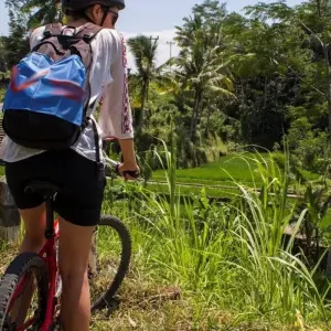 Explore Romance of Bali, Private Tour for 10 days with Destination Services Indonesia and discover unforgettable experiences - Photo 7