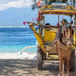 Explore Exotic Gili Islands, Private Tour for 4 days with Destination Services Indonesia and discover unforgettable experiences - Photo 8