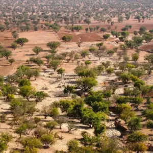 Explore Marrakech, Essaouira & Agadir, Private tour for 9 days with Destination Services Morocco and discover unforgettable experiences - Photo 4