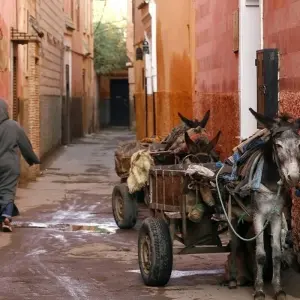 Explore Ouarzazate Overnight, 4 days, Private tour for 4 days with Destination Services Morocco and discover unforgettable experiences - Photo 7