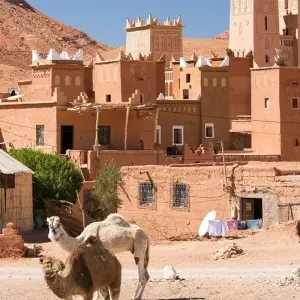 Explore Ouarzazate Overnight, 4 days, Private tour for 4 days with Destination Services Morocco and discover unforgettable experiences - Photo 10