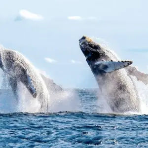 Explore La Paz - Active for 5 days with Destination Services Mexico and discover unforgettable experiences - Photo 3